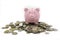 Focus of Pink piggy Bank on a pile of many coins isolated on white background.