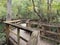 Focus Stacked Image of the Boardwalk at Manatee Springs, Florida