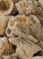 Focus Stacked Image of Dried Vase Sponges Offered for Sale
