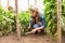 Focused agriculturists working together in a greenhouse