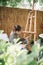 Focused artist preparing canvas stand for placing canvas in yard