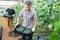 Focused farmer arranging boxes with cucumbers in glasshouse