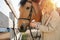 Focused ginger girl preparing her horse for the ride, putting on bridle on horse