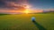 Focused golf ball rolls across green golf course towards the distant hole, captivating the viewer