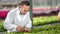 Focused male agriculture engineer pouring sample water at organic plant holding glass tube