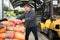 Focused man working in warehouse at garden store