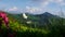 Focused photo. Close up view of grass at mountains at sunny day