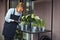 Focused professional young Caucasian floriculturist scrutinizing plants