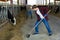 Focused teenager arranging hay and feeding cows in cowshed