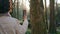 Focused woman capturing forest using cellphone closeup. Brunette taking picture