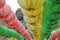 Focusing on Buddha\'s head with color lanterns at Gakwonsa Temple