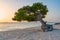 Fofoti tree overlooking a Caribbean sunset on a beach in Aruba