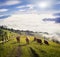 Fog in the Carpathians