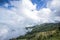 Fog and cloud mountain valley spring landscape.Forested mountain slope in low lying cloud