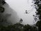 Fog, clouds, mist covered silhouette of branches of trees