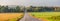 Fog coming off a Wisconsin forest next to a road and farmland in September