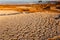 Fog contrasts with dried cracked riverbed mud surface Namibian desert