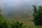 Fog covering the ricefields in Sapa, Northern Vietnam