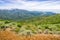 Fog covering the verdant hills and valleys of Montara mountain McNee Ranch State Park, California