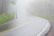 Fog Covers Curving Smoky Mountain Road With Copy Space