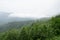 Fog creeps over the mountains. Summer landscape