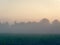 Fog at dawn over a field of farmland