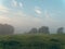Fog at dawn over a field of farmland