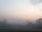 Fog at dawn over a field of farmland