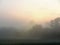 Fog at dawn over a field of farmland