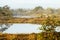 Fog emerging from Estonian bog lakes