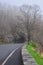 Fog encroaches upon Skyline drive and its bare trees in Shenandoah National Park in Skyline, Virginia in early spring. Poor