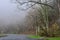 Fog encroaches upon Skyline drive and its bare trees in Shenandoah National Park in Skyline, Virginia in early spring. Poor