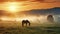 Fog-Enshrouded Elegance. Arabian Horses in a Pasture, Illuminated by the Soft Light of a Setting Sun