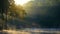 The fog floats on the water surface and there are swans swimming in Mae Hong Son, Pang Ung, Thailand