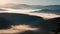 Fog flowing over river, forest in mountains in morning