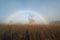 Fog and fogbow over Everglades National Park.