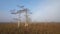 Fog and fogbow over Everglades National Park.