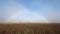 Fog and fogbow over Everglades National Park.