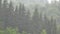 Fog, Foggy Smoke Magic Mystical Glade, Frosted Grass on Meadow in Mountains, Mysterious Scary Alpine Scenery
