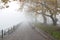 fog foggy wheather in Ioannina city greece