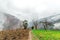 Fog in Himalayas - Beautiful landscape with high mountains