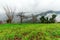 Fog in Himalayas - Beautiful landscape with high mountains