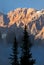 Fog and Isolated Pine Tree on Rugged Mountainside