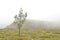 Fog at Kelimutu Lakes