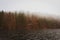 Fog on lake Kenigsee, Germany. Mist on lakeshore with forest reflection in water. Tranquil German landscape with haze.