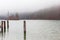 Fog on lake Kenigsee, Germany. Small island in the middle of the lake. Mist on lakeshore. German landscape.