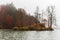 Fog on lake Konigsee, Germany. Mist on lakeshore with island and autumn colorful trees. Tranquil German landscape with haze.