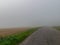 Fog landscape, fuzzy outlines, the sun is shining through the mist, tree silhouette, fuzzy contours of the road