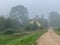 Fog landscape, fuzzy outlines, the sun is shining through the mist, tree silhouette, fuzzy contours of the road