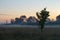 Fog landscape over a flower meadow, the first rays of dawn and dark silhouettes of trees against a brightening sky, selective